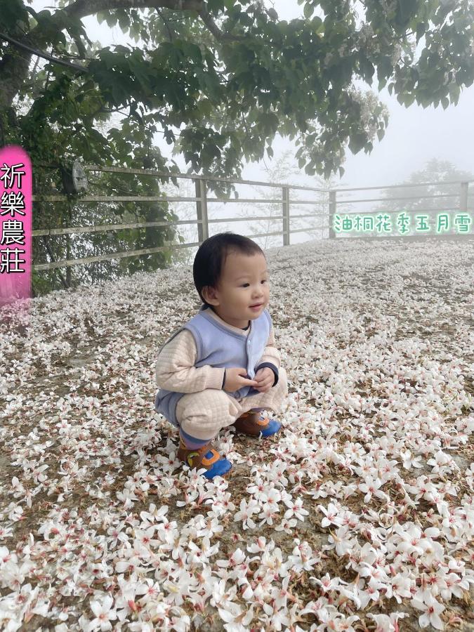 Lala Mountain Homestay‧Cile Farm Hualing 외부 사진